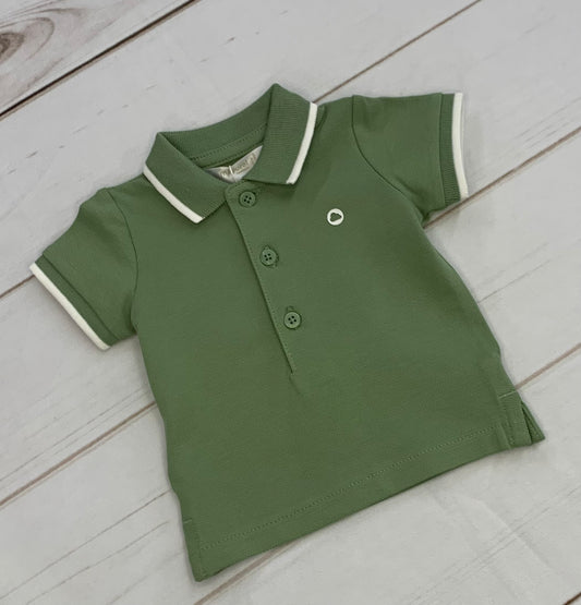 Green Basic Short Sleeve Polo