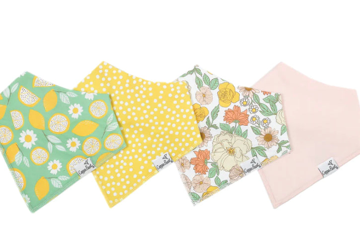 Bandana Bib Set