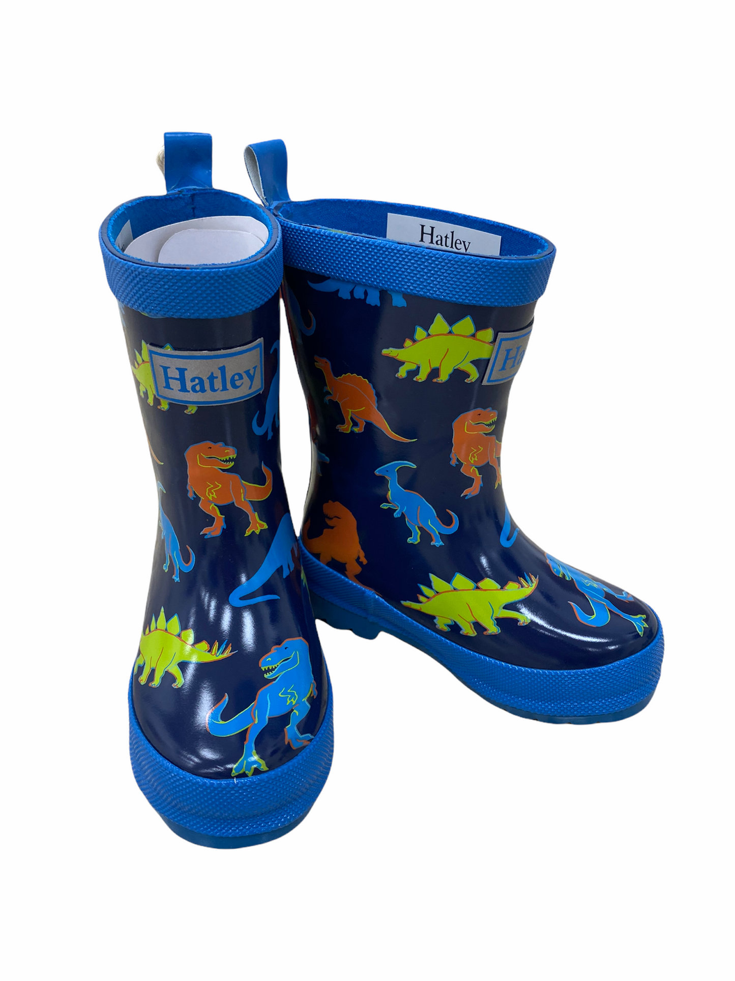 Linework Dinos Shiny Rain Boots